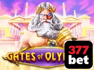377BET APP mobile iOS Android - 187 mil downloads São Paulo Rio BH